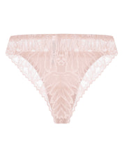 Briefs 024 020 silver peony