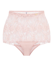 High-waisted light shape lace Briefs 024 028 silver peony